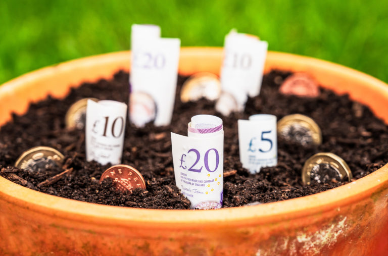 Making money grow