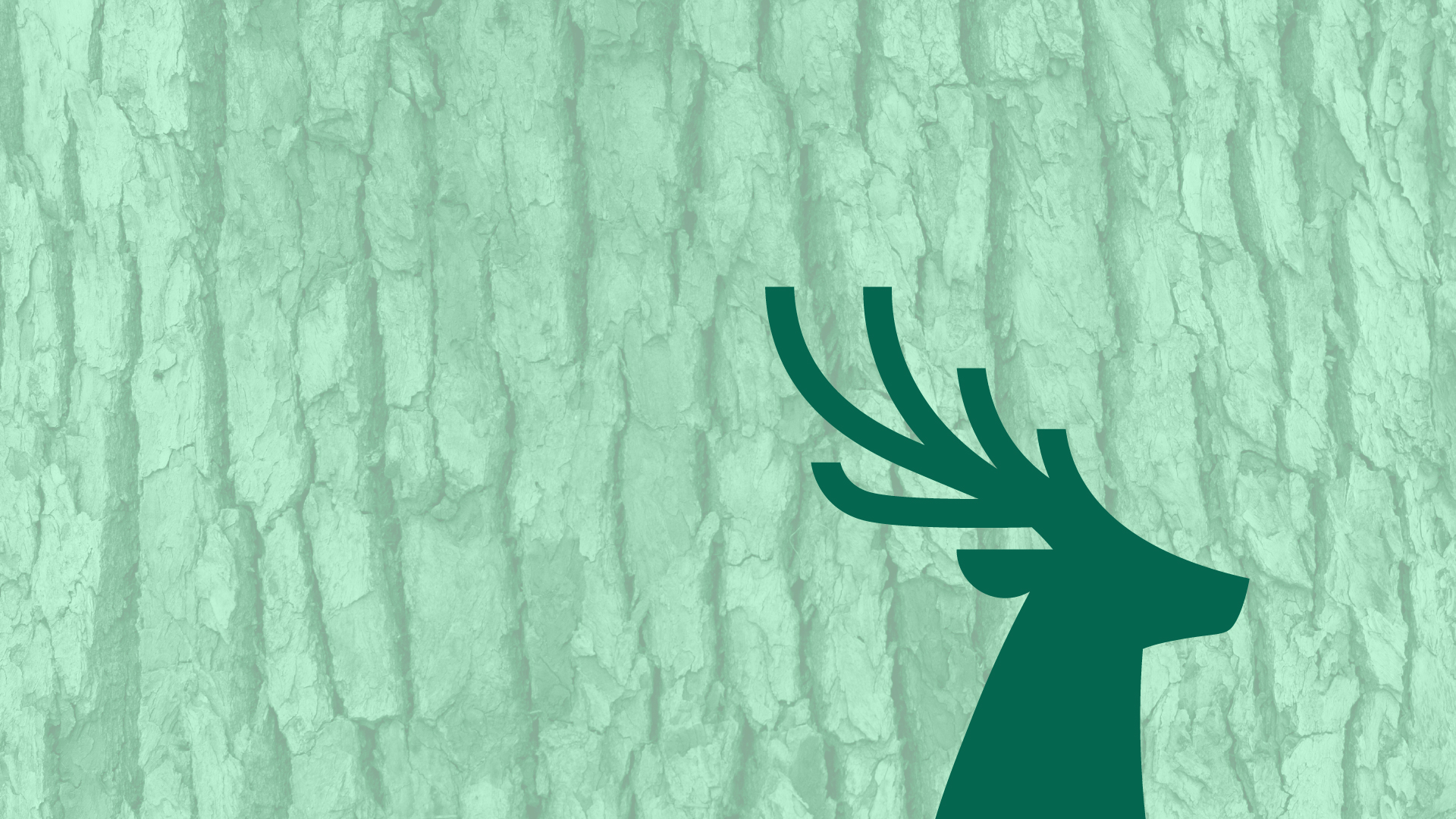banner internal