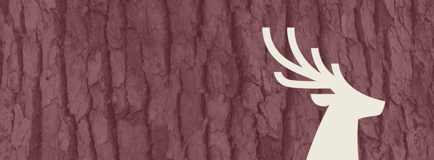 Bark 8211 Fox 8211 Stone