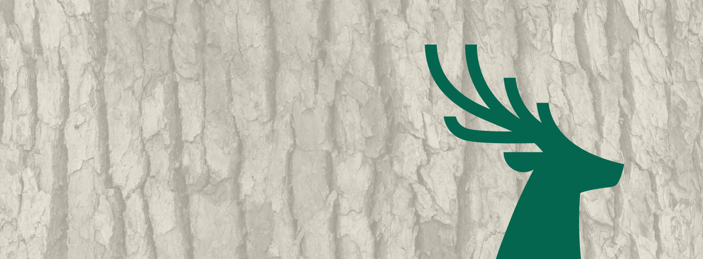 Bark 8211 Stone 8211 Lush Green