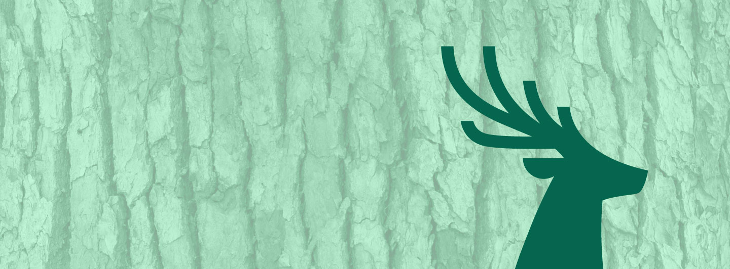 Fresh gren web header