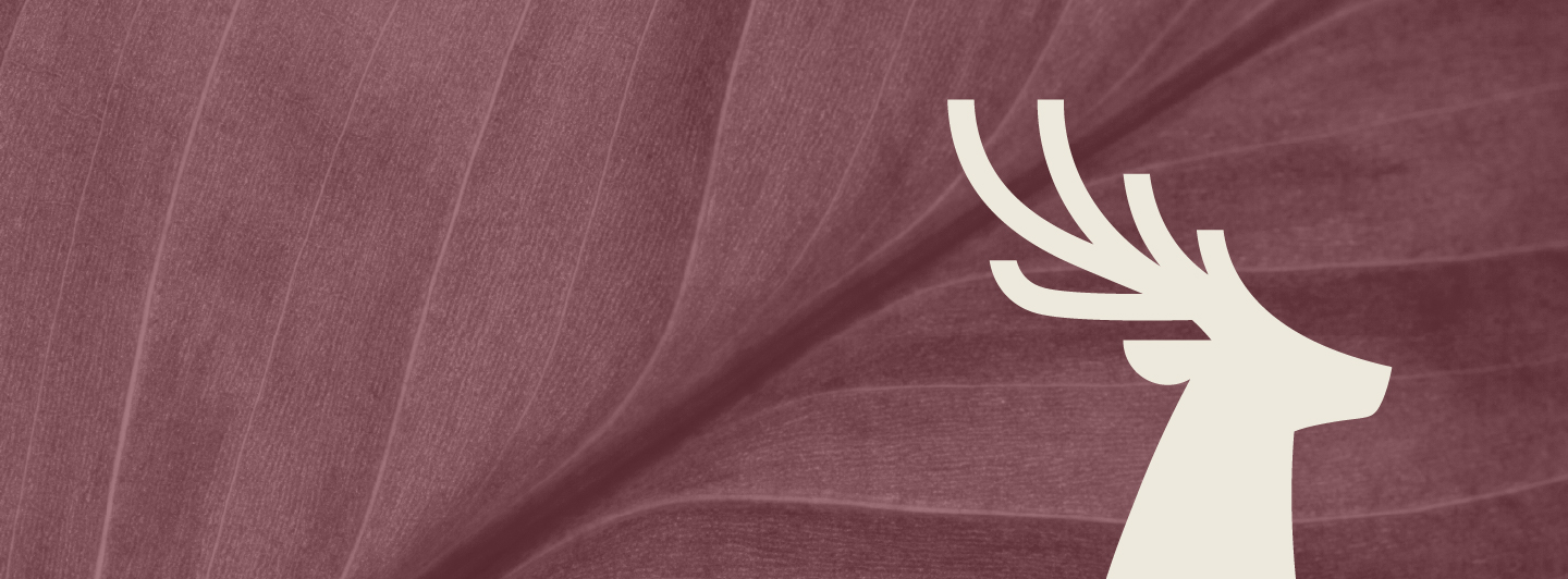 Leaf 8211 Fox 8211 Stone