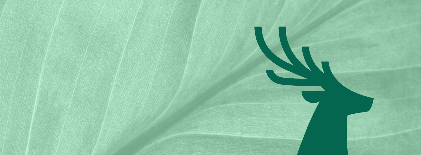 Leaf 8211 Lush green