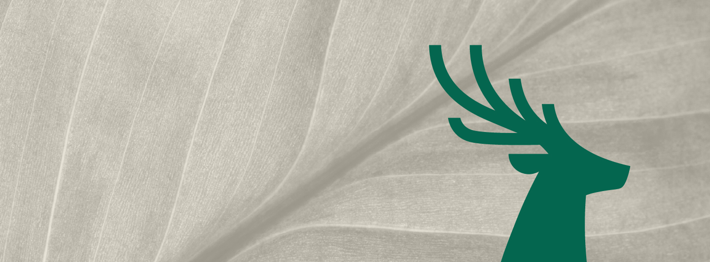 Leaf 8211 Stone 8211 Lush Green