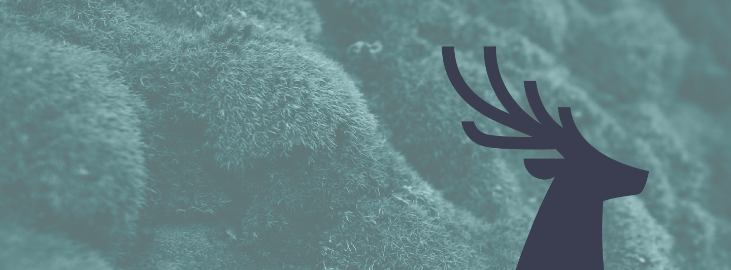 Moss 8211 Mist 8211 Blackberry