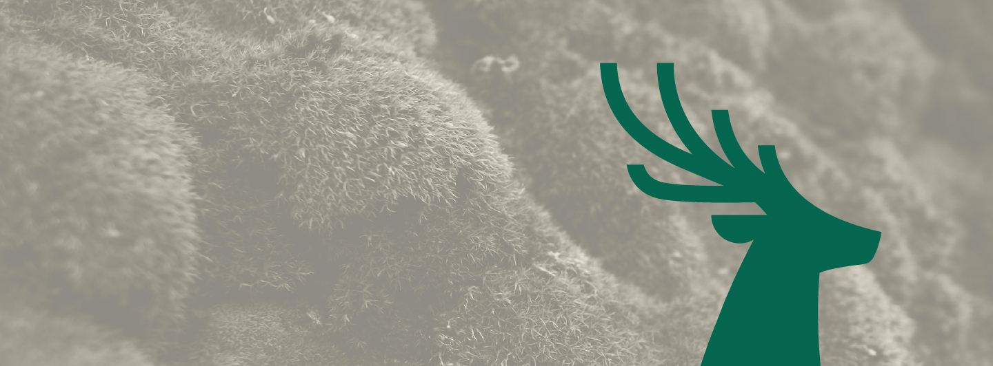 Moss 8211 Stone 8211 Lush Green