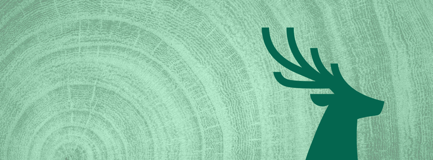 Rings 8211 Lush green