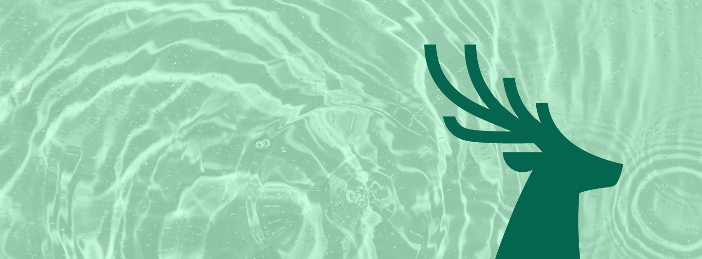 Water 8211 Lush green