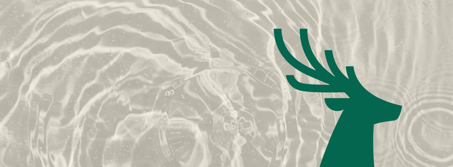 Water 8211 Stone 8211 Lush Green