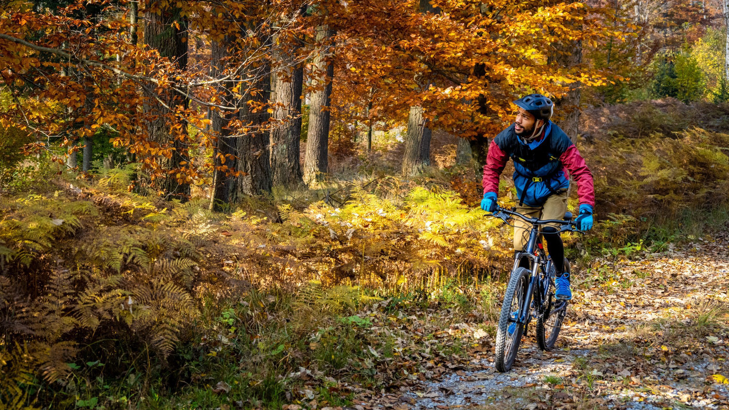 Man riding mountain bike in forest