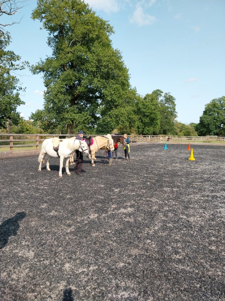 Nicola volunteering 3 768x1024