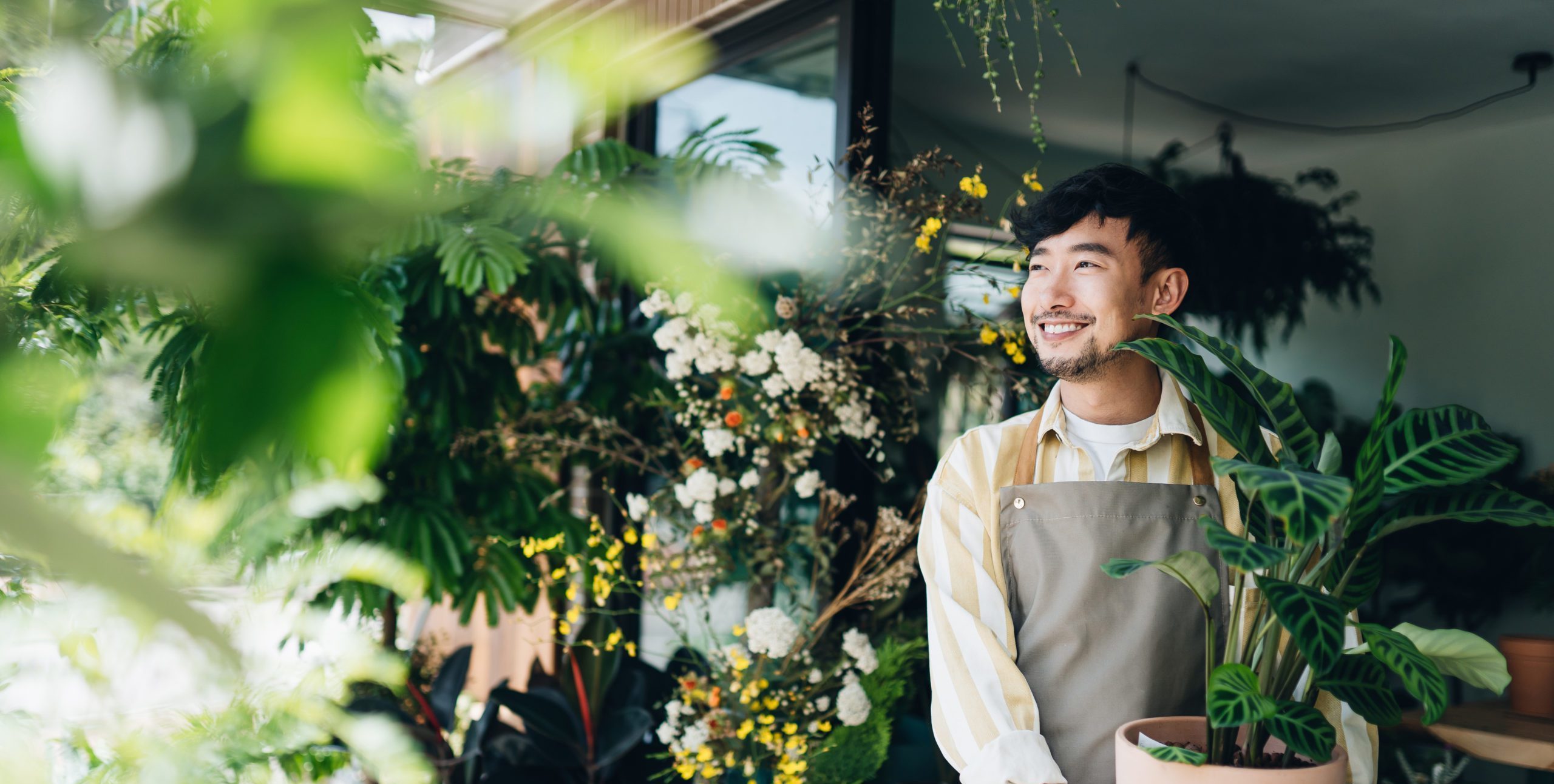 Confident young Asian male florist owner of small business flower shop Holding potted plant outside his workplace He is looking away with smile Enjoying his job to be with the flowers Small business concept