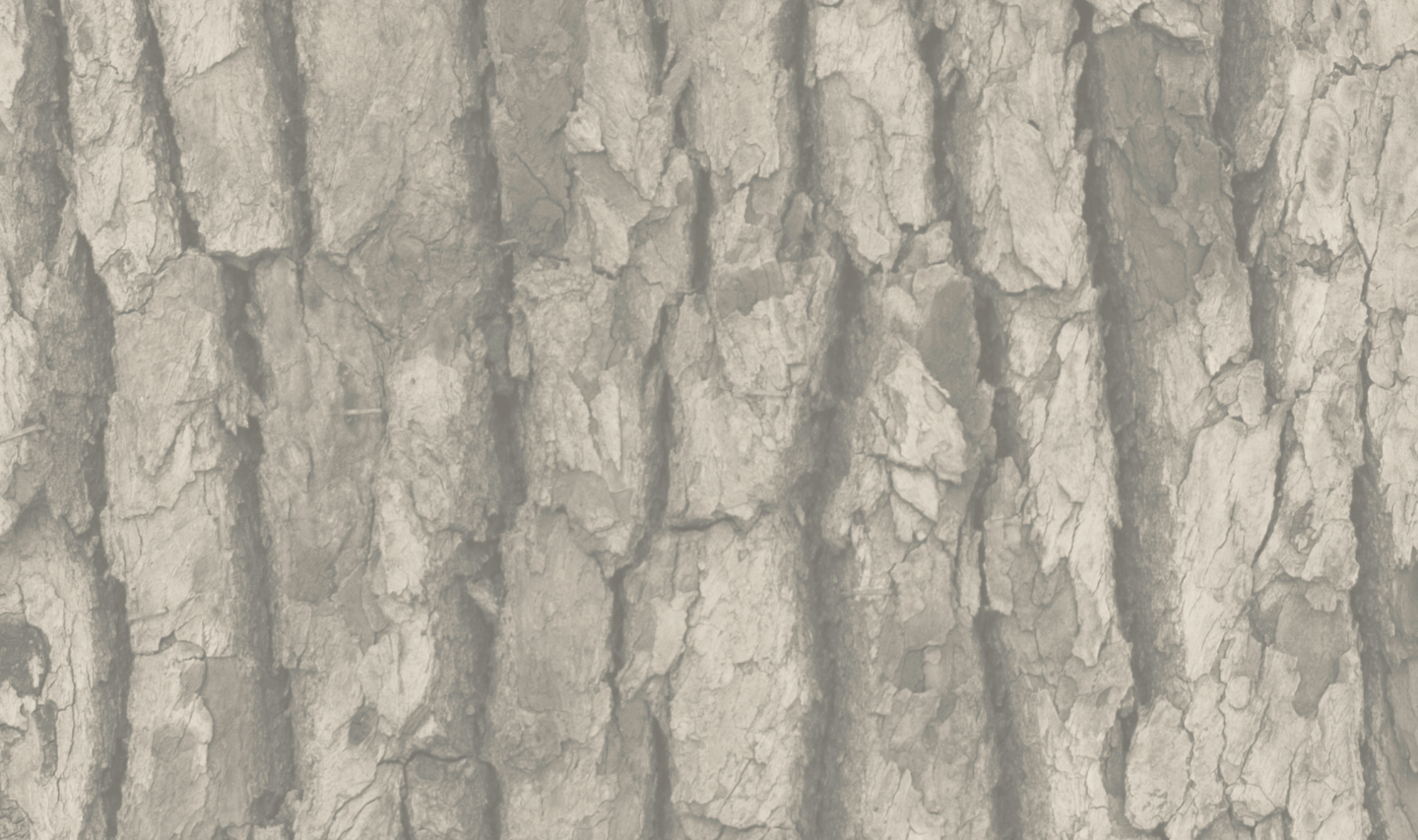 Home page for intermediaries stone