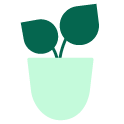 Plant   flat